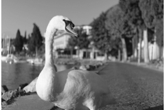 XT3L3402_c1_edited001-scaled